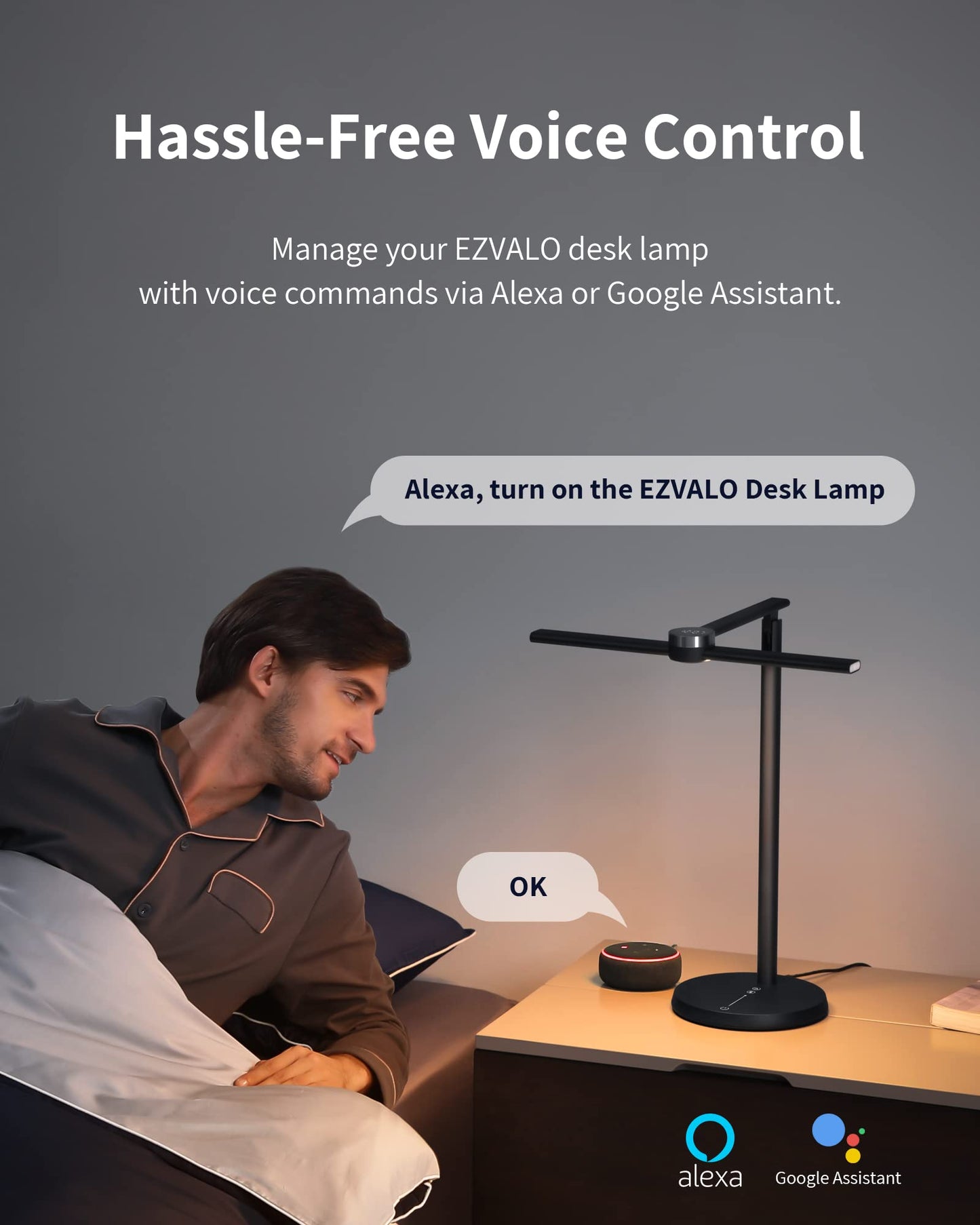 Smart Desk Lamp with APP Control