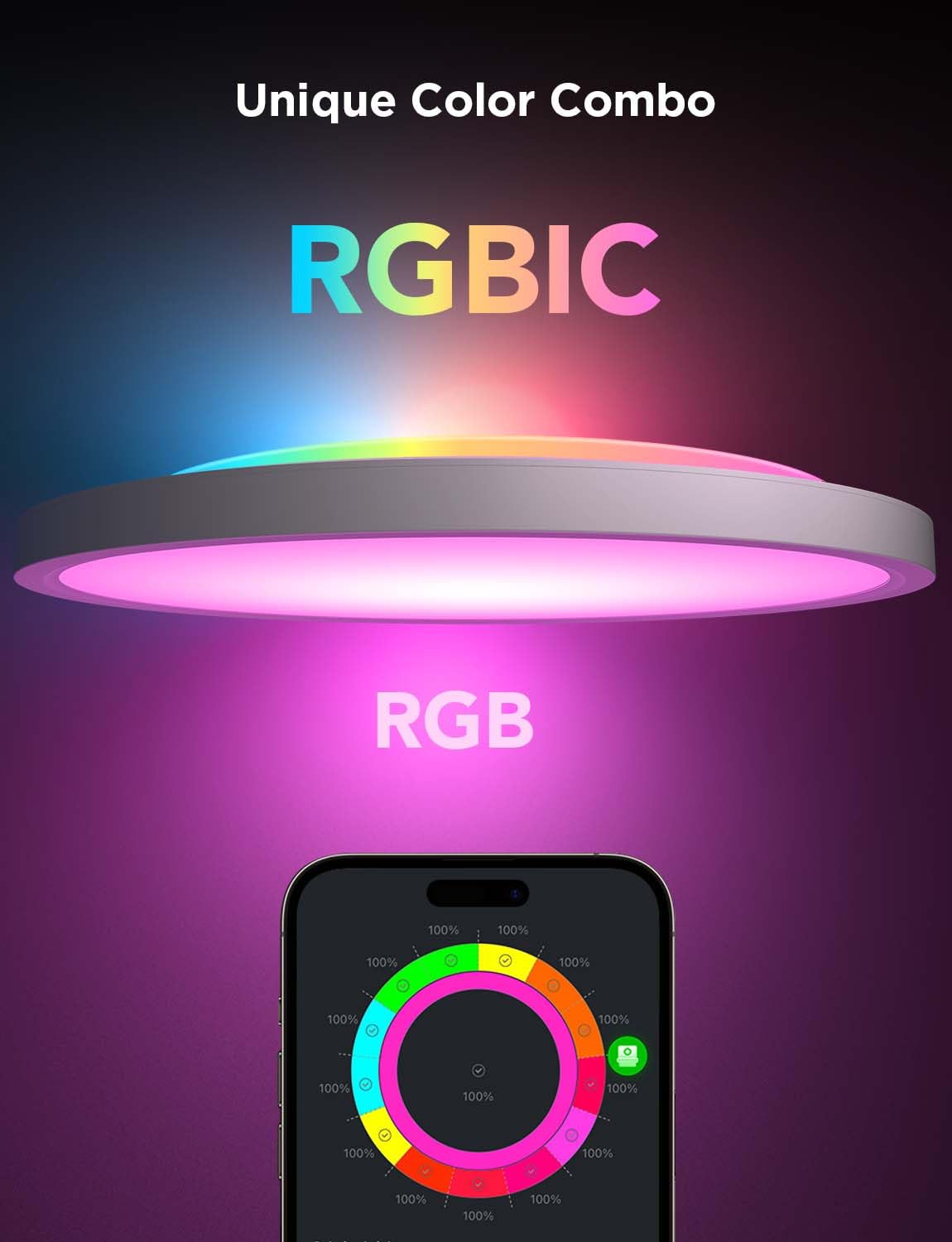 Smart Ceiling Ligh