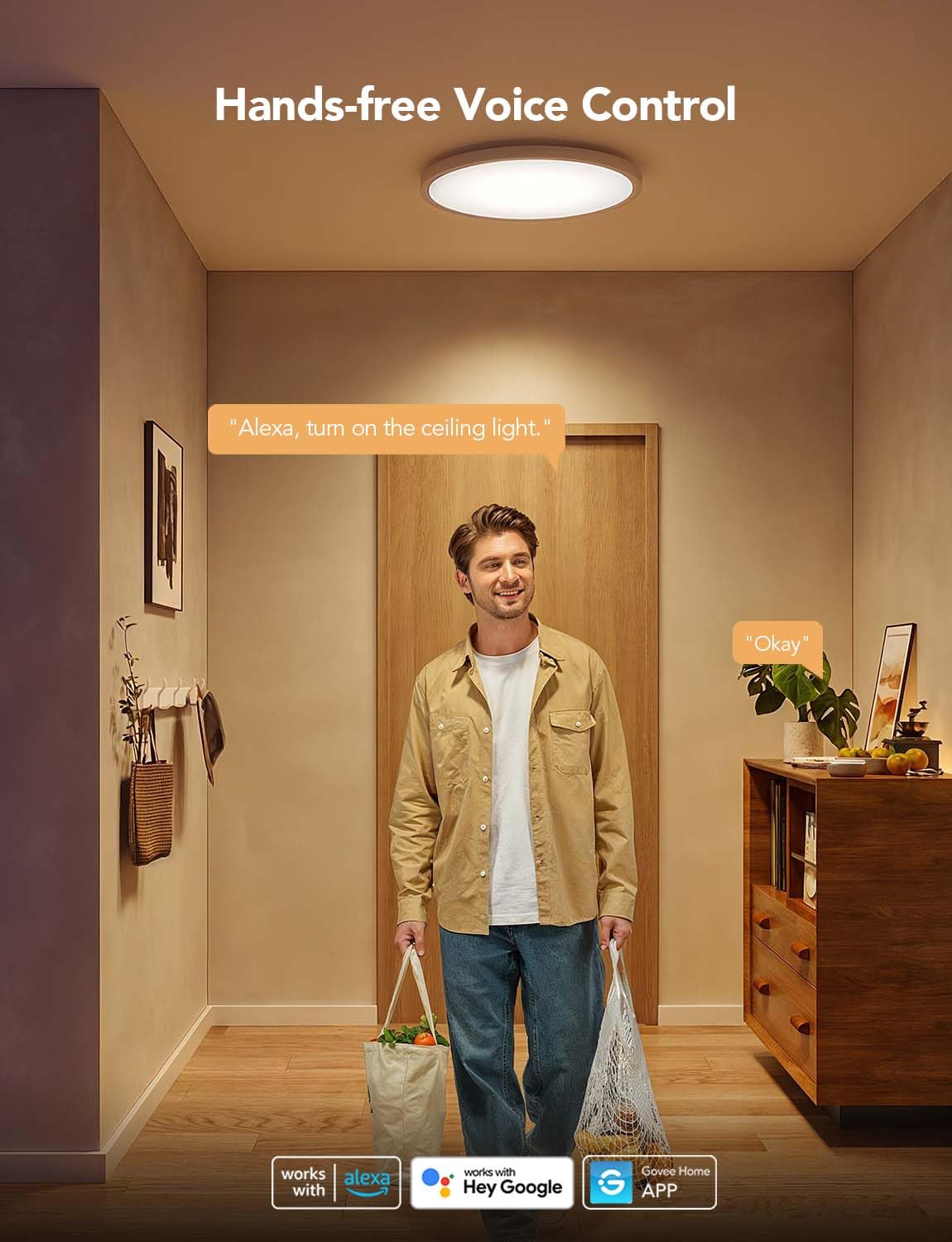 Smart Ceiling Ligh