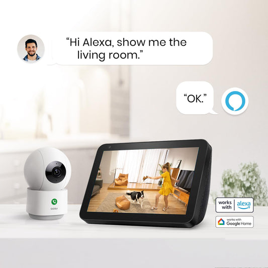 2K Security Camera