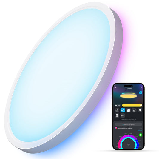 Smart Ceiling Ligh